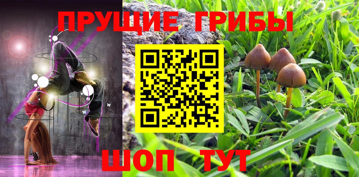 Георгиевск  Псилоцибиновые грибы Psilocybe  Псилоцибиновые грибы Psilocybine cubensis  закладка  Вход с VPN 