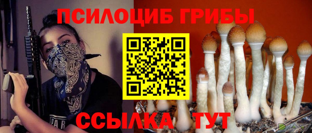 Галлюциногенные грибы мицелий Георгиевск